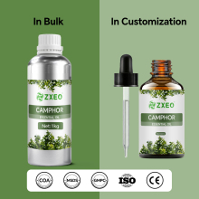 Camphor Essential Oil 100% Pure Natural Camphor Oil Oil for Diffuser SPA Perfume Massage Skin Care