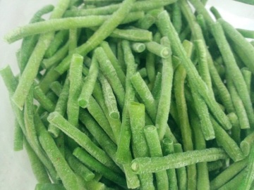 BEST QUALITY IQF GREEN BEAN