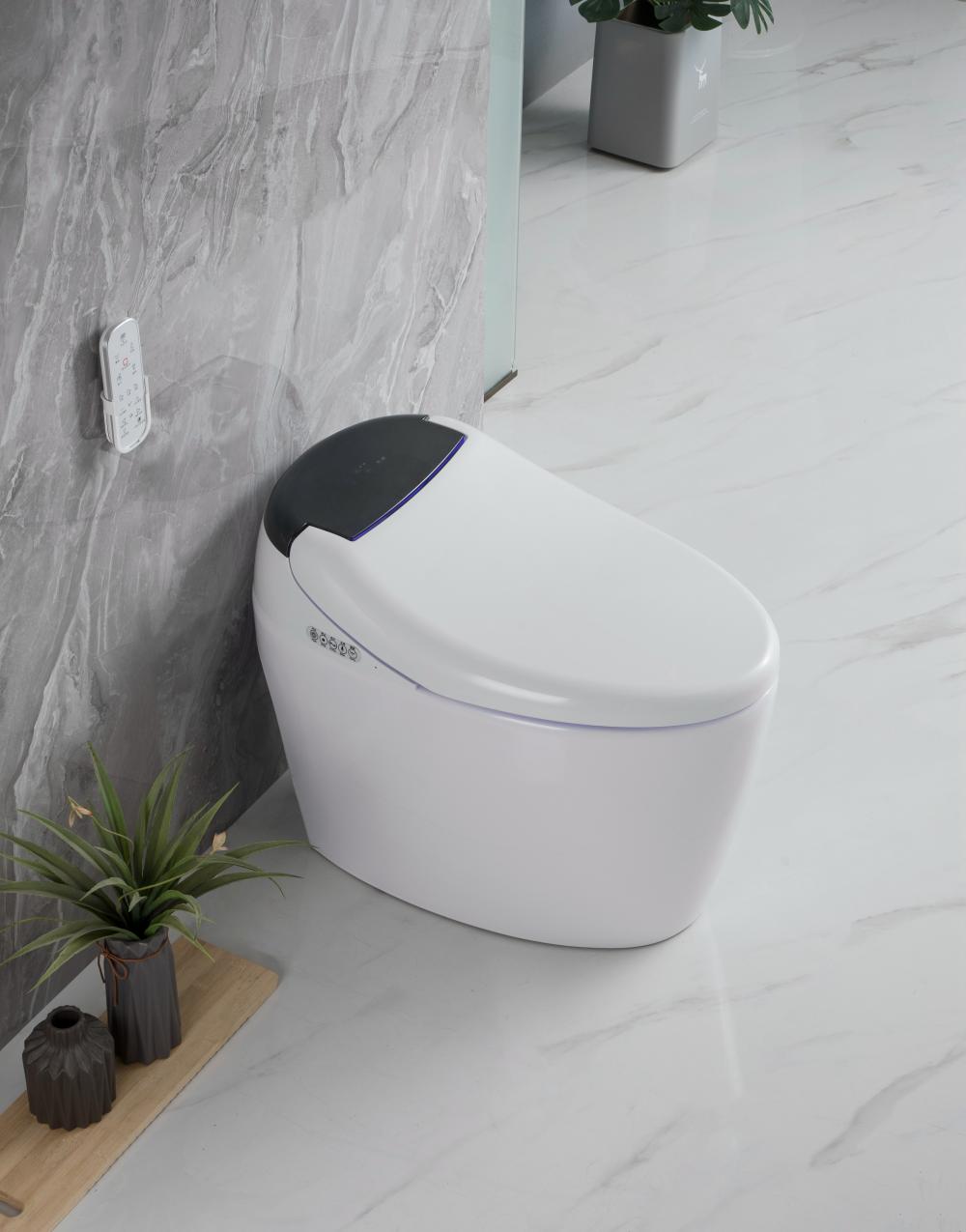 2207 2smart Toilet