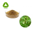 Eclipta Alba / Elderberry Extract Pulver 10: 1