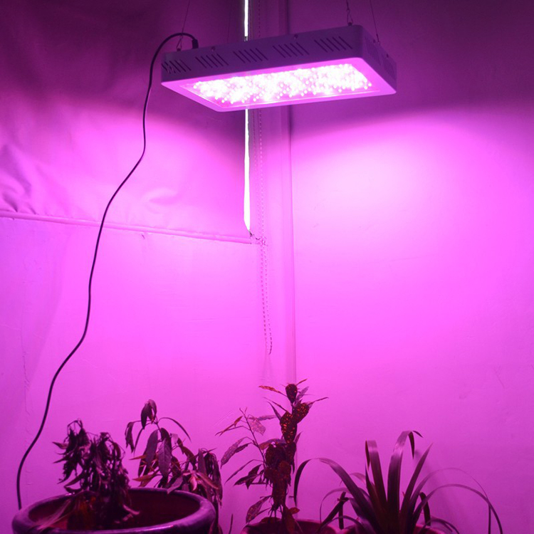 LED Plant Grow Light