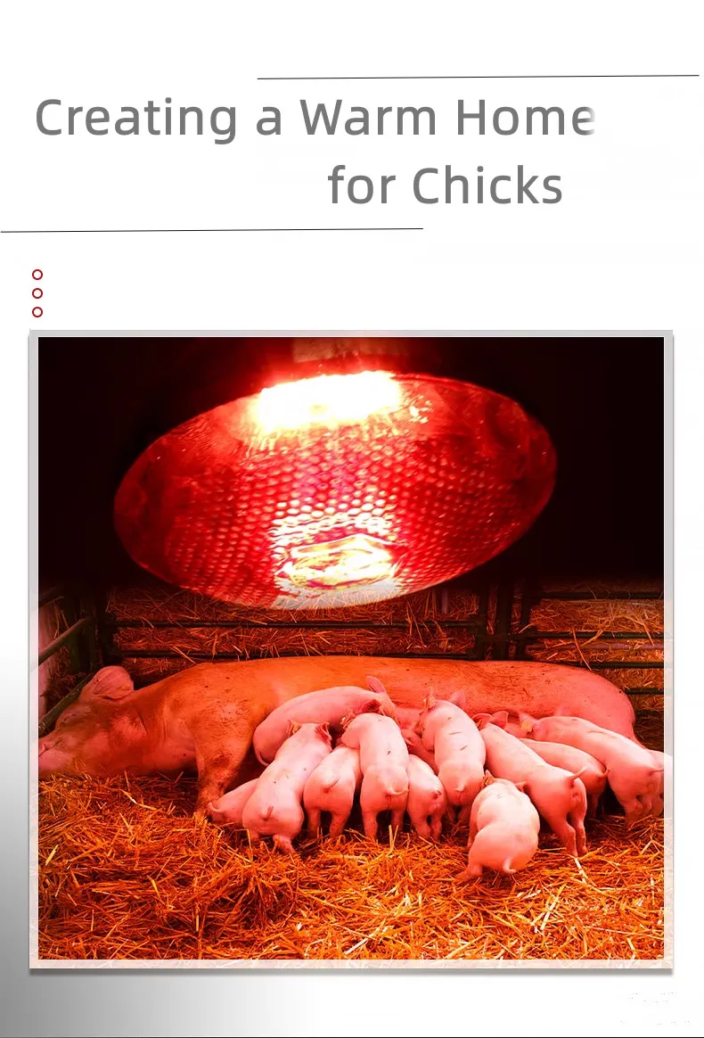Wholesale Professional E27 150W Red Infrared Heat Bulb for Poultry Farming