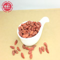 Traditional Herbal Better Taste Organic Goji Berries