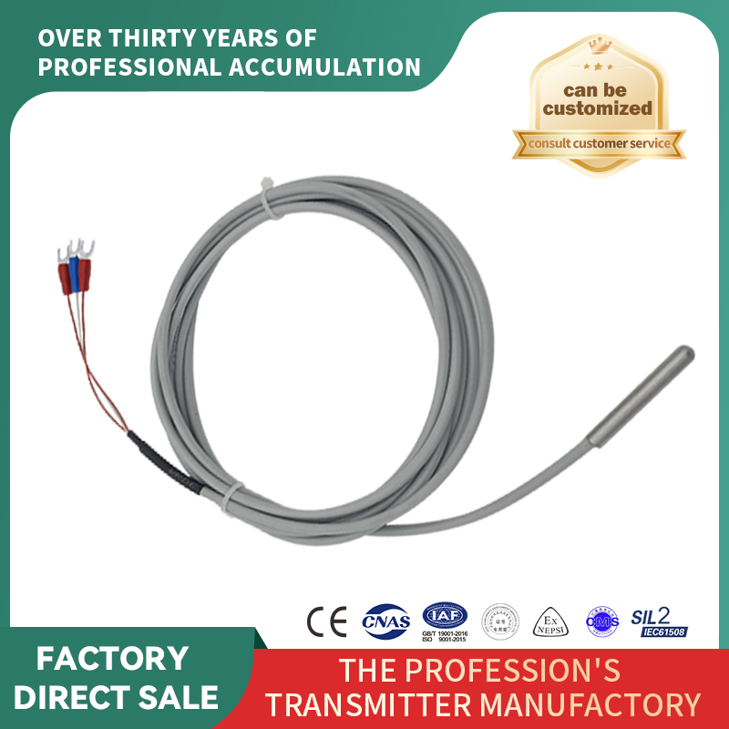 Senzor de temperatură cu rezistență termică