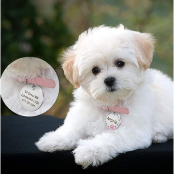 Tag ID Stainless Steel Pet