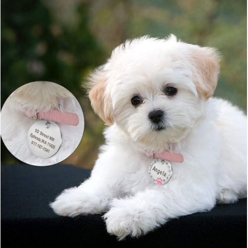 Stainless Steel Pet ID Tags