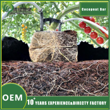 Coco Peat Soil Greenhouse Accessories