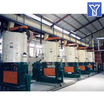 Automatic Palm Kernel Oil Press Machine