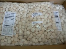 Frozen Bay Scallop Addcutor