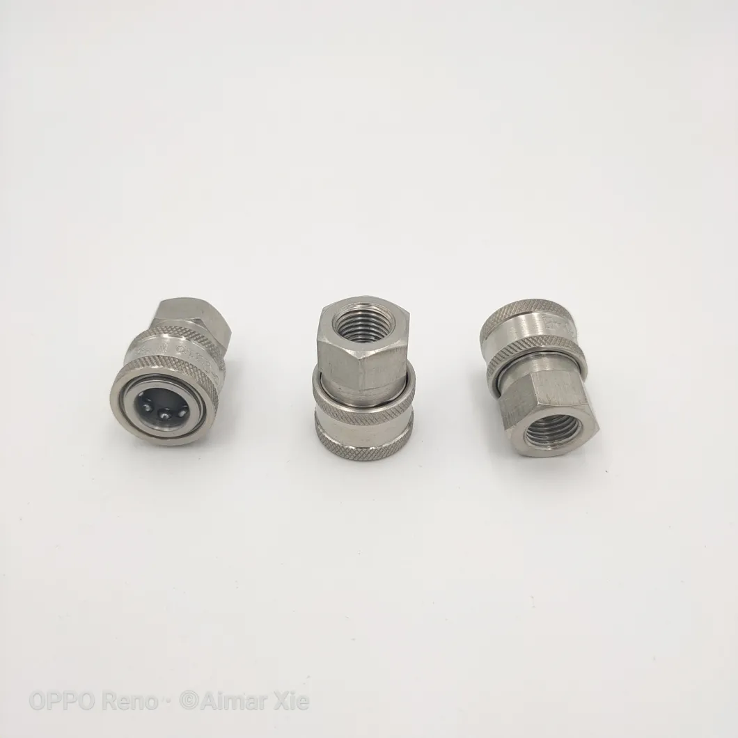 1/4 3/8 1/2 Stainless Steel High Pressure Washer Quick Connecting Coupling Coupler Fittings