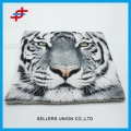 Fashion Design imprimé housse de coussin