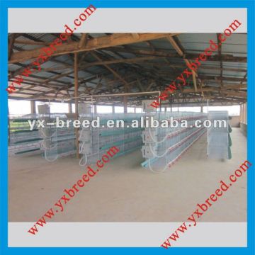 H frame broiler cage