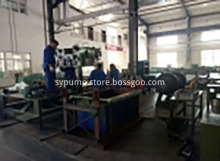 DG Boiler Feed Water Pump