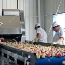 Peach, Apricot, Plum Processing Juice Machine, Pulp, Jam, Concentrate Production Line with Drum Aseptic Filling