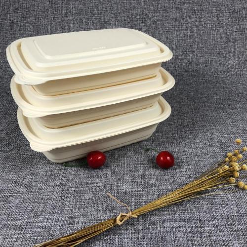 Z13 15%off eco friendly biodegradable food container