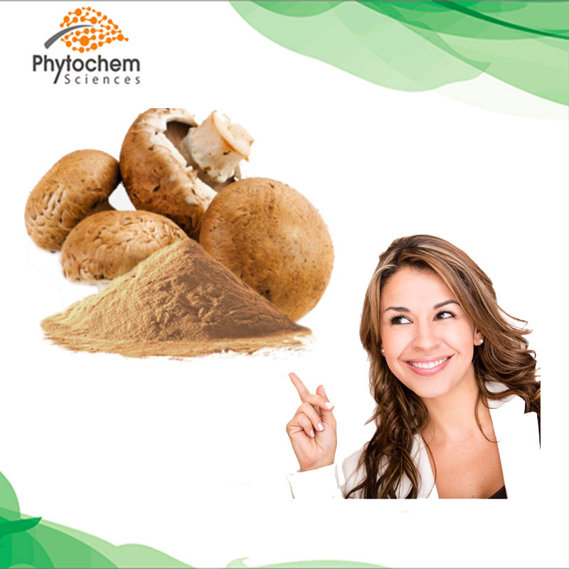 High quality agaricus blazei murill mushroom polysaccharide extract