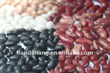 Black Kidney Beans, Black Beans