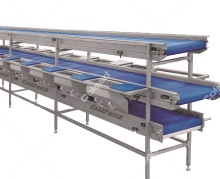 Vegetable conveying selecting machine