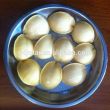 tasty good canned seafood Abalone in brine