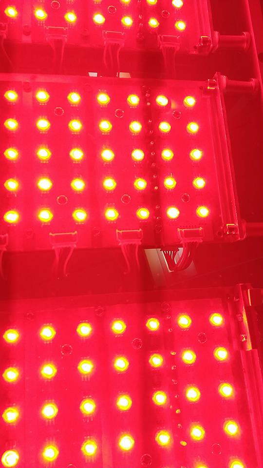 Red and Blue Light Phototherapy System