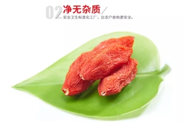 Dried red goji berry