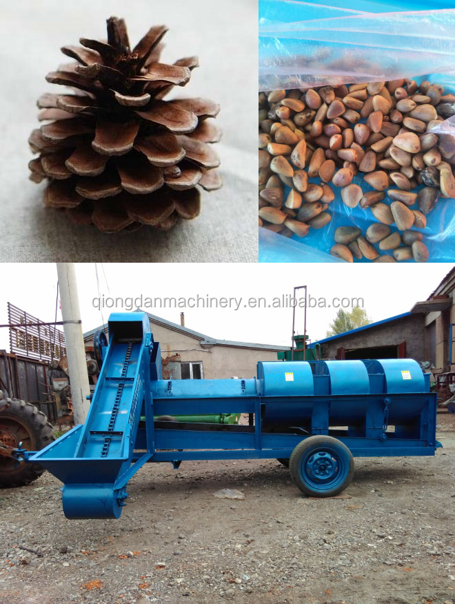 Hot sale pine cone sheller pine nuts cone and kernel separating machine pinecone cracker pine nut production line
