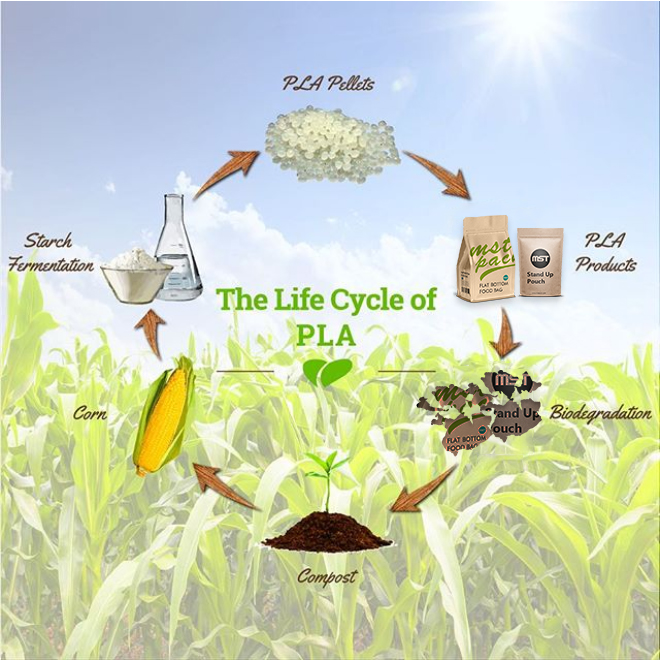 biodegradation process