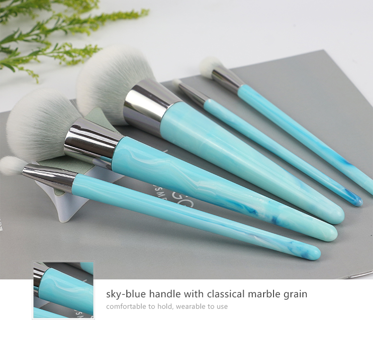 2022 Hot-selling Blue Color Plastic Handle 5pcsMakeup Brush Kit OEM & ODM