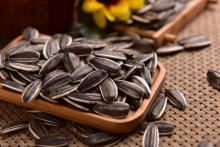 Best Selling Products Sunflower Seeds For Bird Feeding