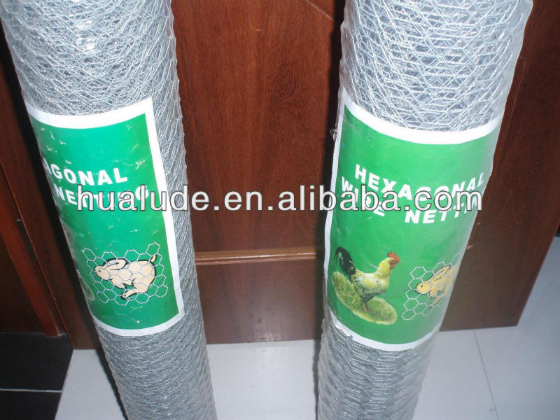 Hexagonal Wire Netting Chicken Mesh +Manufacturer in Shandong