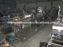 DPP250E AL/AL tablet Blister Packing Machine