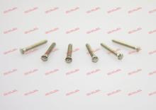 Fancy Stainless Steel Eyewear Eyeglasses Self Align Screw