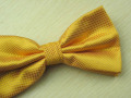 100% poliester Bowtie B-12