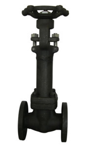 A105 Bellows disegel Globe valve