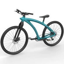 28 Inch Carbon Fiber Bicycle ike