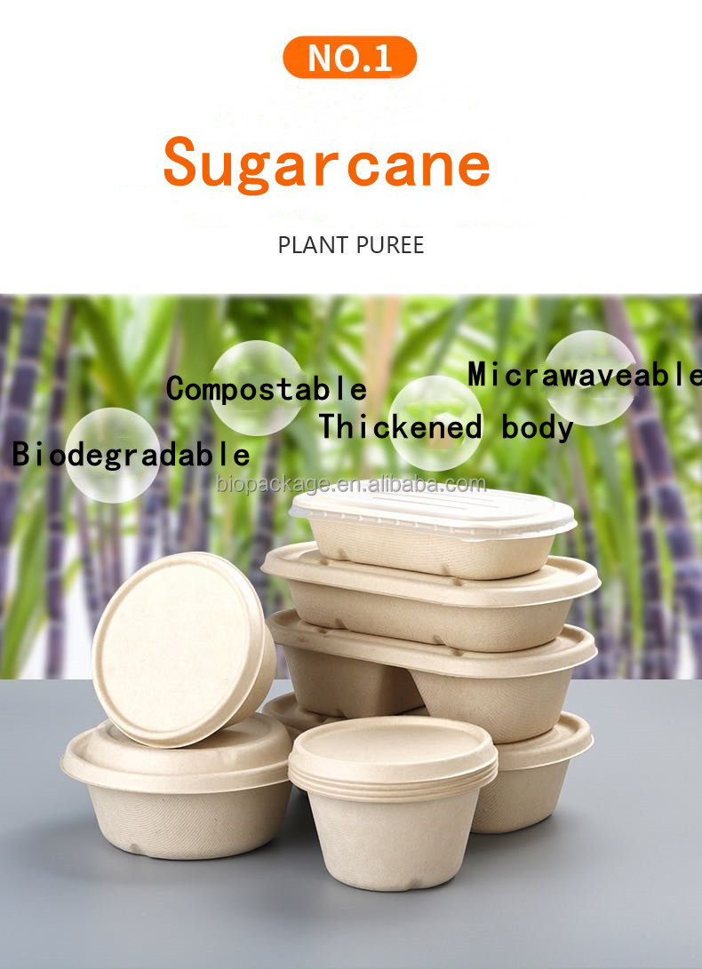 Disposable Sugarcane Bagasse