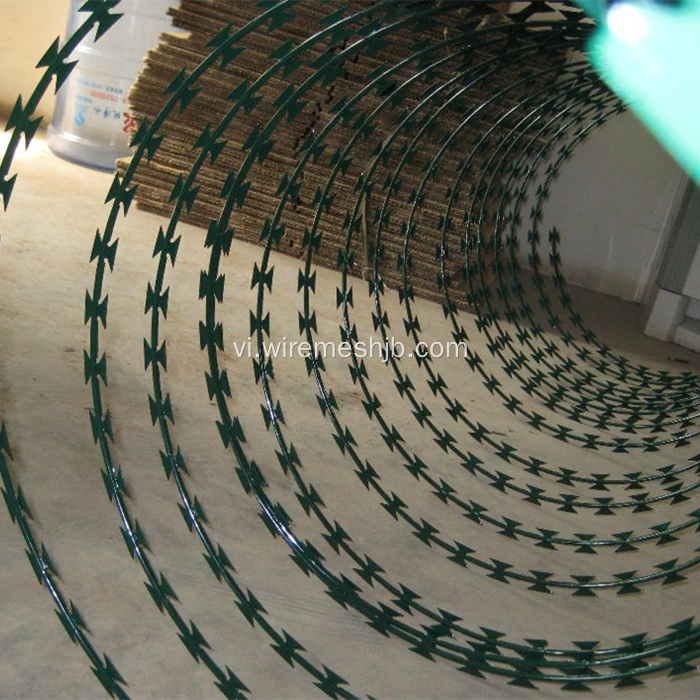 Razor Wire Fence-đơn Coil Loại