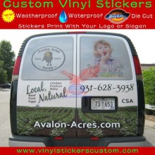 Car See-through Sticker