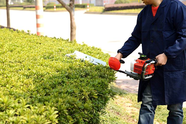 Ht32s Hedge Trimmer