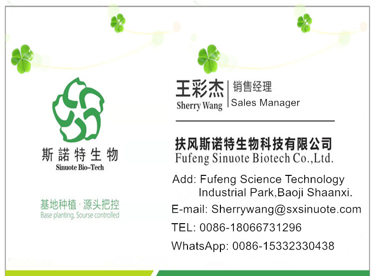 Name Card Name Card