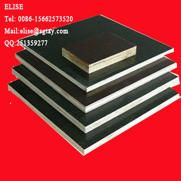 phenolic film plywood