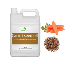 Bulk Carrot Seed Oil For Botanical Beauty
