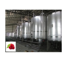 Turnkey Project: Fresh Fruit Pulp and Raspberry Puree Processing Plant