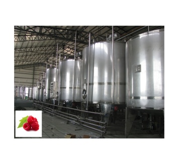 Turnkey Project: Fresh Fruit Pulp and Raspberry Puree Processing Plant