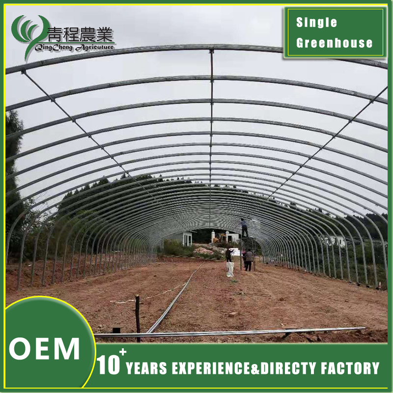 Аднапралётная цяпліца з авальнай сталёвай трубы Oval Steel Pipe Single Span Greenhouse