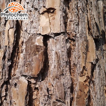Organic Pine Bark 95% OPC