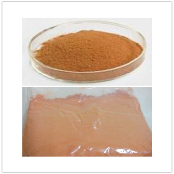 Ningxia High Quality  Goji spray powder