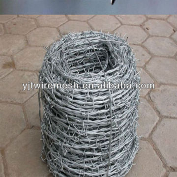electro galvanized barbed wire