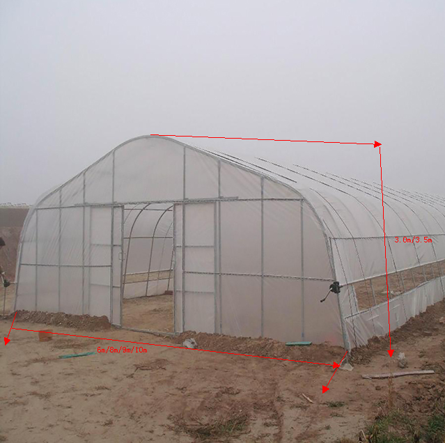 Gothic Arch Plastic Tunnel Greenhouse