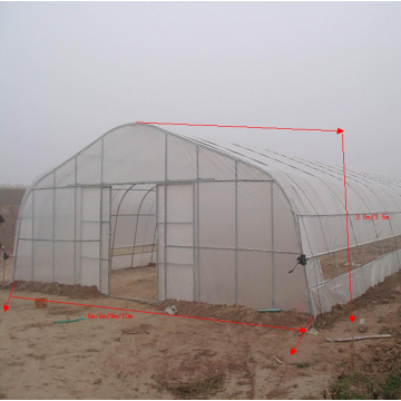 Gothic Single Span Greenhouse for Vegetables Flowers